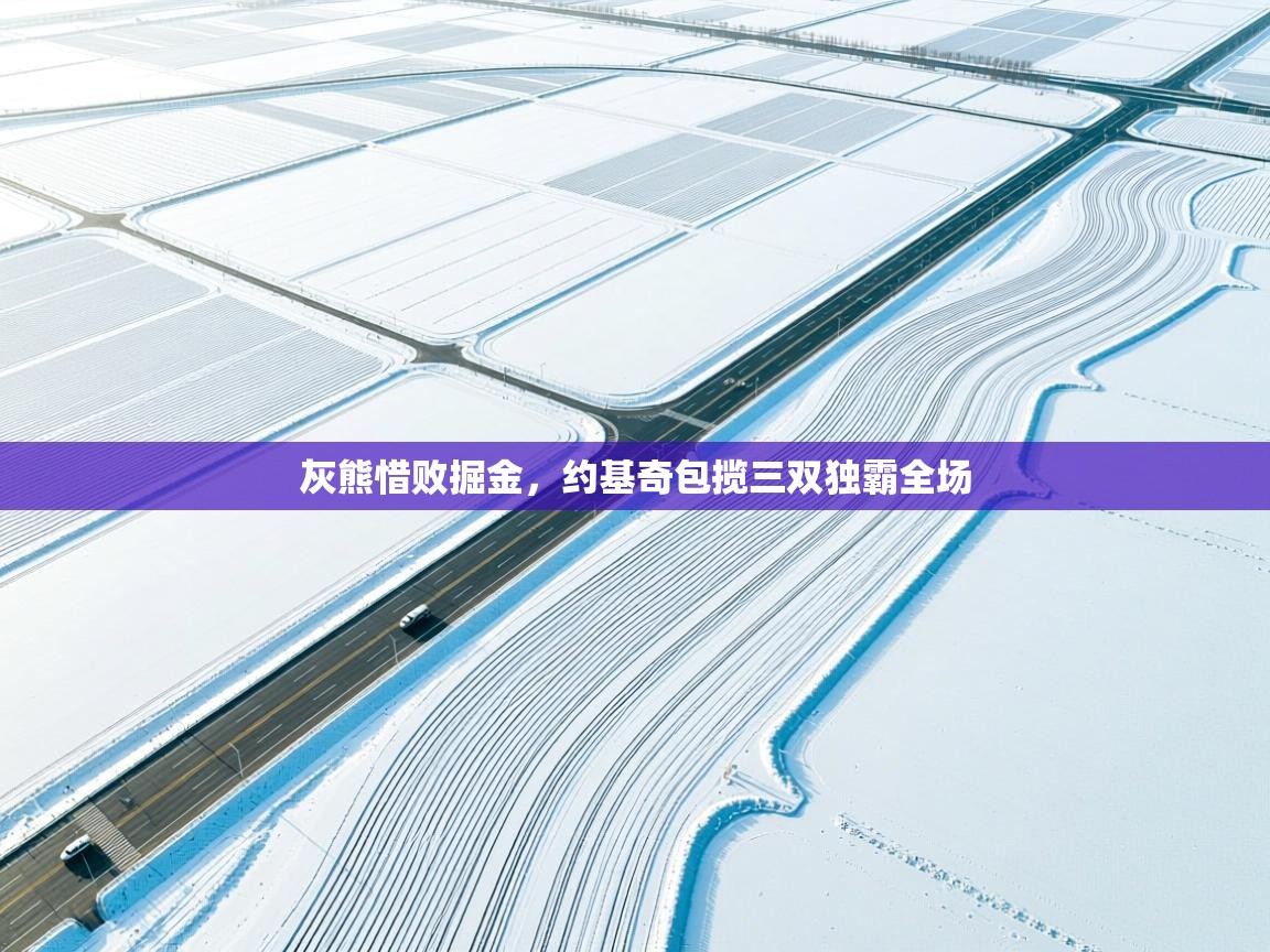 灰熊惜败掘金，约基奇包揽三双独霸全场  第1张