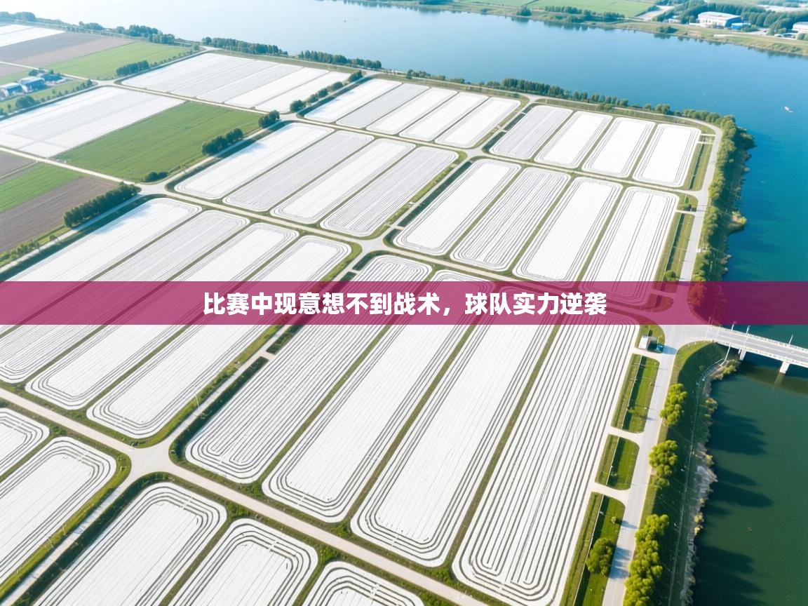 比赛中现意想不到战术，球队实力逆袭  第1张