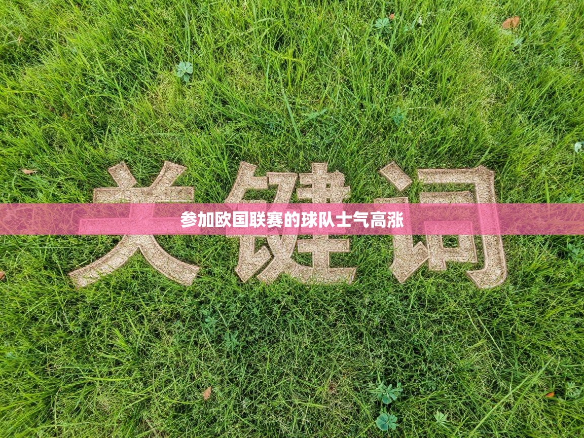 参加欧国联赛的球队士气高涨  第1张
