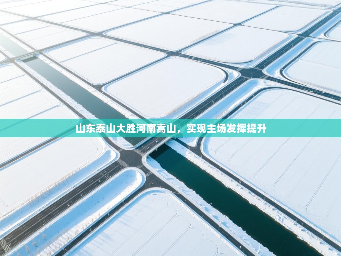 山东泰山大胜河南嵩山，实现主场发挥提升  第1张