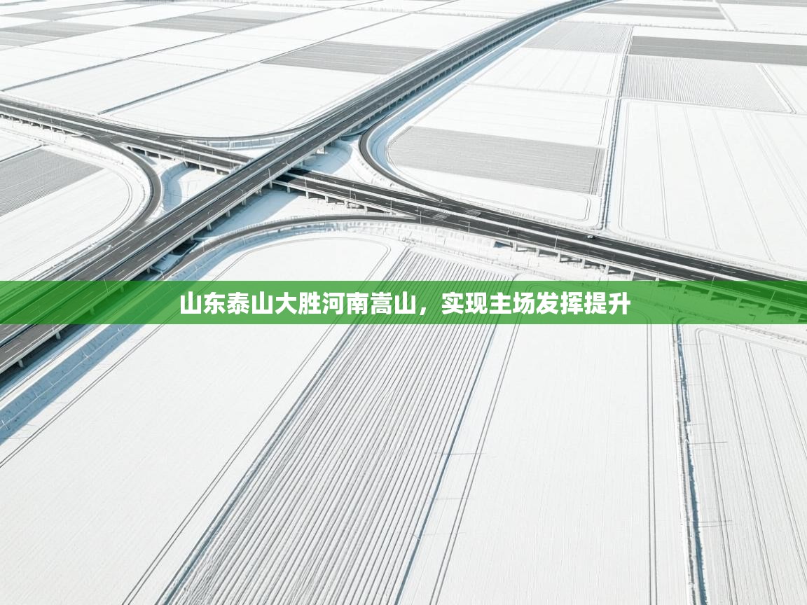 山东泰山大胜河南嵩山，实现主场发挥提升  第2张